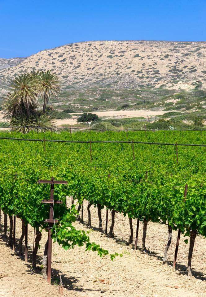 Bougainvillea House In Crete Sitia  Ngoại thất bức ảnh
